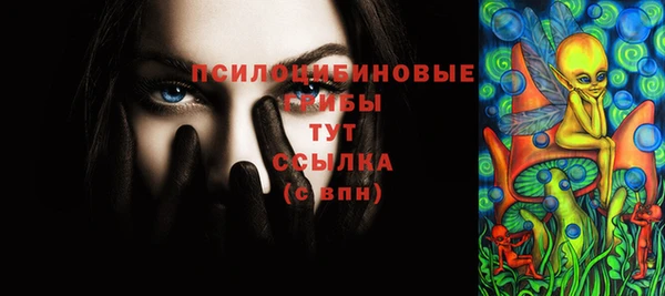 гашик Алексеевка