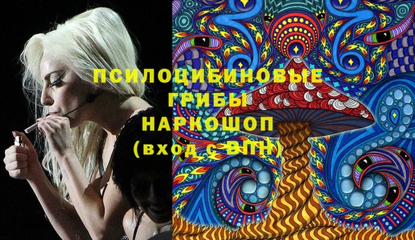 прущие крисы Алзамай