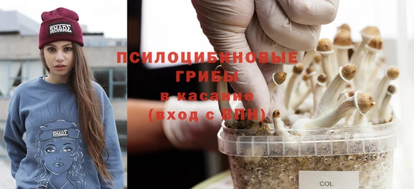 ГАЛЛЮЦИНОГЕННЫЕ ГРИБЫ Алексин