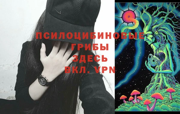 ГАЛЛЮЦИНОГЕННЫЕ ГРИБЫ Алексин