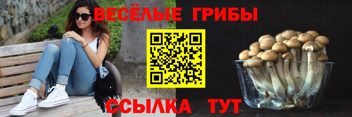 Ижевск  Галлюциногенные грибы Psilocybe  Вход с VPN 