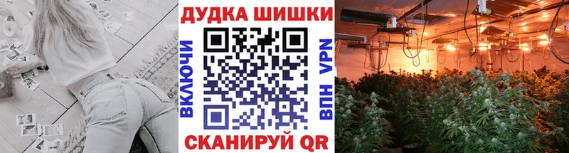 Конопля семена  Ижевск 